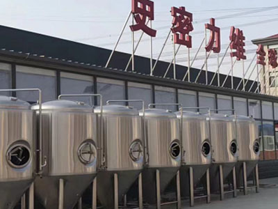 苏尼特左精酿啤酒设备厂—市场规模与跨界新需求